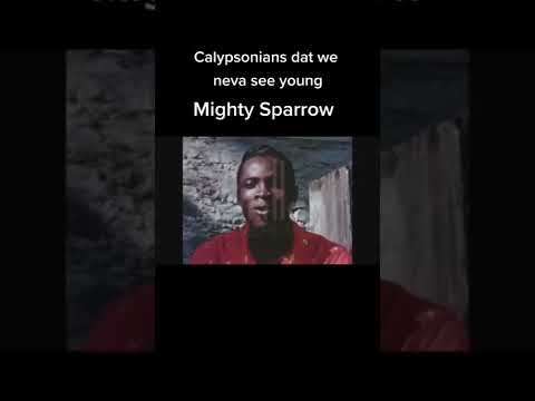 Have You Ever Seen This Calypsonian So Young? | Calypso Music Caribbean People | West Indian #shorts