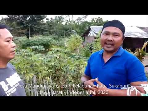 Transparansi penyaluran dana