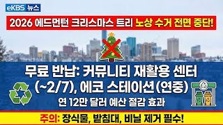 크리스마스 트리 '집 앞 수거' 전면 중단… "직접 반납하세요"