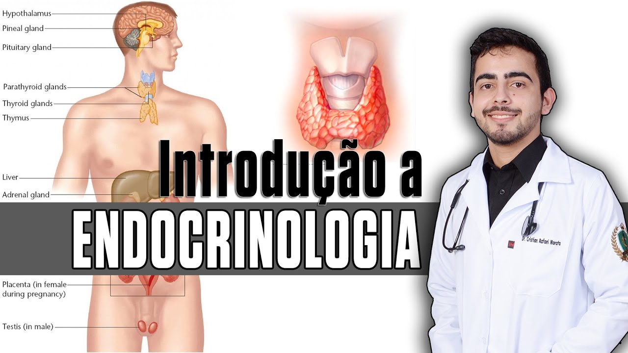 Introdução a Endocrinologia │ Fisiopatologia & Fisiologia │ GUYTON (Capítulo 75)