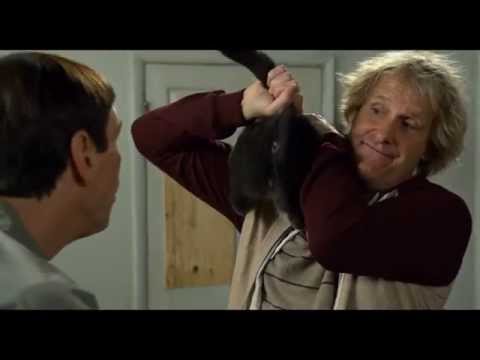 Spot Tonto y retonto 2 - 15´´