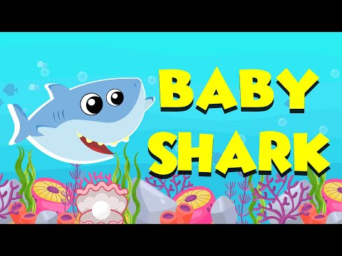 CORO BIMBOFESTIVAL: Baby Shark Dance | Sing and Dance! | Animal Songs