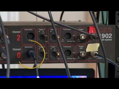 Transcranial Magnetic Stimulation during arm cycling