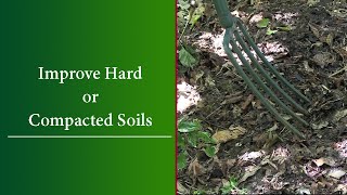How to Loosen &amp; Improve Hard or Compacted Soil