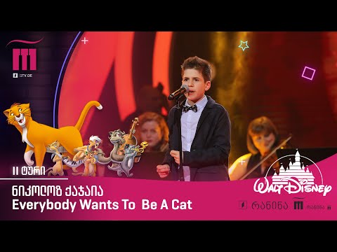 🎼 #რანინა ნიკოლოზ ქაჯაია / Nikoloz Kajaia – Everybody Wants To Be A Cat 🎙
