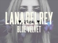 Blue Velvet - Lana Del Rey - Lyrics (Cover) 
