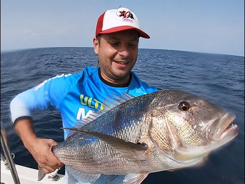 Doppio Strike  di Dentici ...traina col vivo