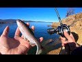 Fishing a Huddleston 68 (Rainbow Trout) for Winter Bass