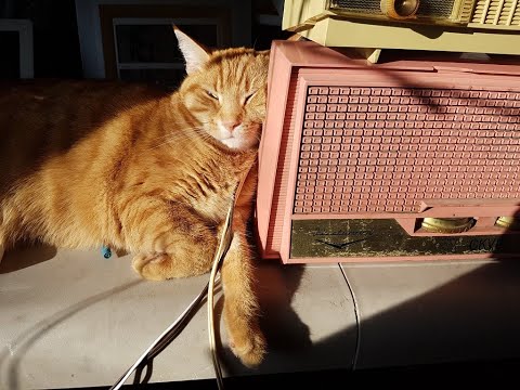 Live Shortwave radio stream Wednesday April 13th 2022