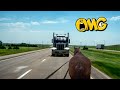 Can You Run A Farm With Just ONE Draft Horse RIDING DRAFT HORSES