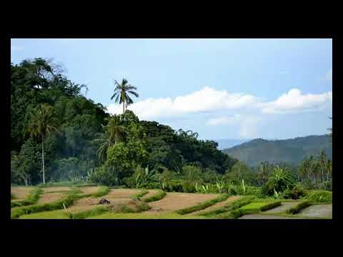 Rayola - Bakasiah Surang