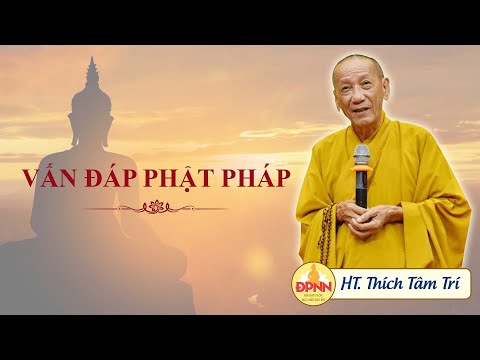 HT. THÍCH TÂM TRÍ GIAO LƯU, VẤN ĐÁP ĐẾN HÀNG TRĂM BẠN TRẺ KHÓA TU TUỔI TRẺ HƯỚNG PHẬT