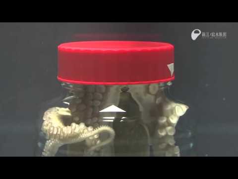 image-Can an octopus unscrew a jar?