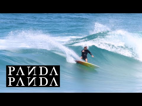 PANDA Shiitake HP Twinzer Review - The Surfboard Guide