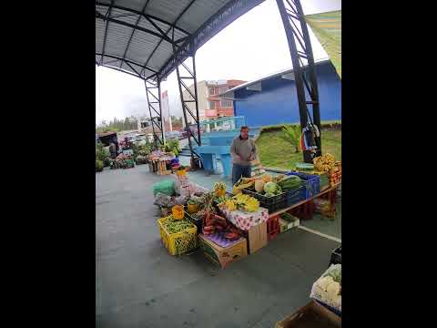 CANTON DELEG PROVINCIA DEL CAÑAR ECUADOR MERCADO FERIA LOS DOMINGOS 😙
