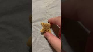 コアラのマーチ食べてたら起きた奇跡