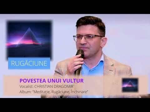 POVESTEA UNUI VULTUR | CHRISTIAN DRAGOMIR