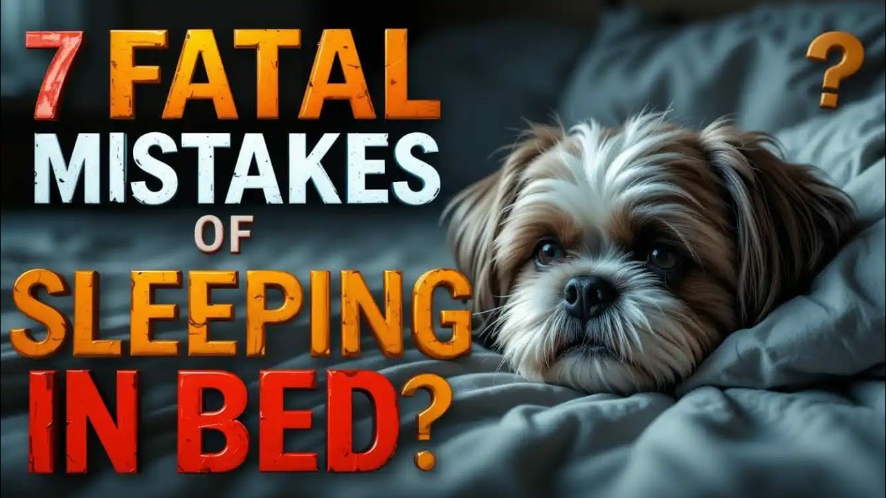 Does your Shih Tzu sleep in your bed? Beware! Watch this before it's too late!
