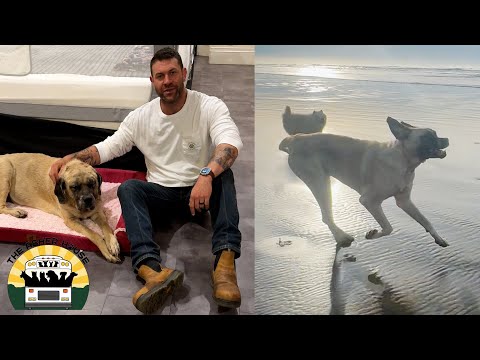 Mildred wird für immer in meinem Herzen weiterleben | Das Asher House