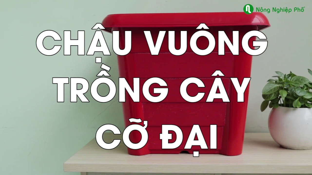 Chậu vuông trồng cây cỡ đại HD 47x47x40H