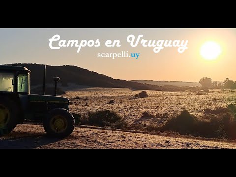♦Venta Campo con Costa Arroyo Cuñapirú #Rivera 112 hás Cerros de la Calera #scarpelli #Uruguay