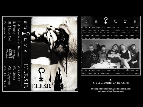(ON003) - Suture - F.L.E.S.H. (Grind Crust Powerviolence Black HC Noise)
