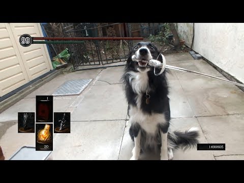 The Training of Sif continues