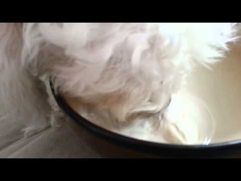 Nobody touches Jemma ice cream