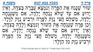 מסכת בבא קמא פרק ה משנה א