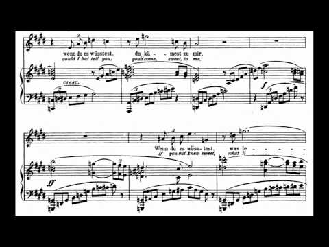 [H] Cäcilie (R.Strauss) Op.27 No.2 in E Major / Piano accompaniment
