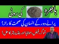 Pearl Millet Or Bajra | What Are Amazing Health Benefits Of Pearl Millet Or Bajra | dr afzal