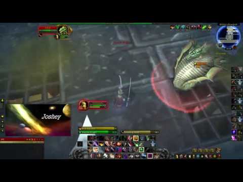 Brawler's Rank 4 Guide: Tyson Sanders, Nibbleh, Dominika the Illusionist and Meatball. Quick Links!