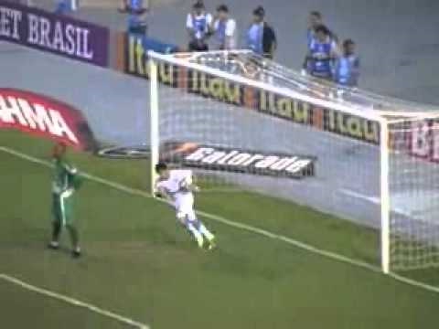 Campeonato Brasileiro 2010: Botafogo 2 x 2 Grêmio