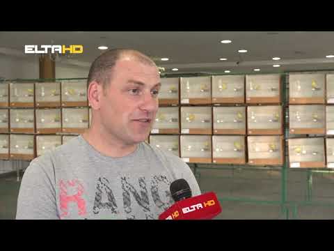 BL HRONIKA 12 11 19 - IZLOZBA PTICA