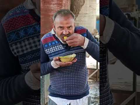 Date - 29/01/2025 | Daily Prasadam Distribution | Vraja Dham Seva