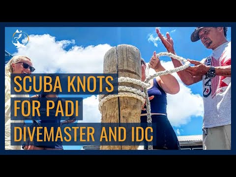 3 knots to know how to tie for your PADI Divemaster and IDC // Bowline, sheetbend and 3 half hitches