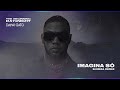 Danni Gato x MC Prego Prego - Imagina Só (Shimza Remix)