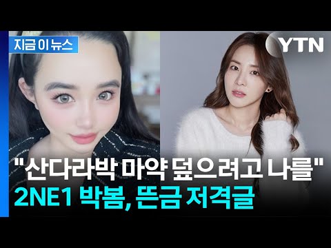 실명 거론하며 '마약 저격글' 올린 박봄...산다라박의 입장 [지금이뉴스]  / YTN