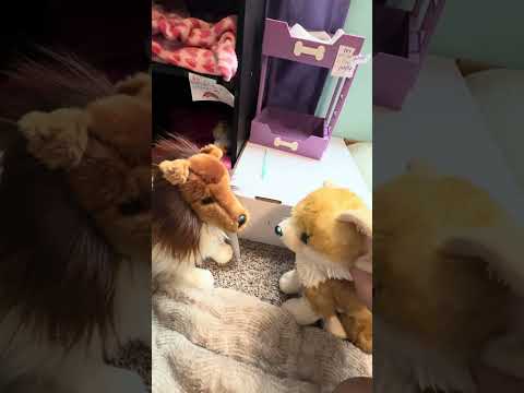 The party gone wrong part one ￼