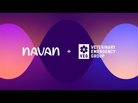 How Veterinary Emergency Group Saved 13% on Flights ... - YouTube