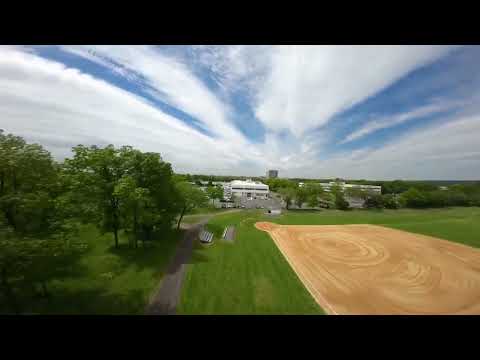 “Honeysuckle” by Honeyroot