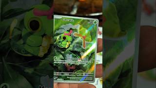 POKÉDEX DIA #056 #pokemon #pokemonchannel #pokedex #pokemoncards #pokemontcg
