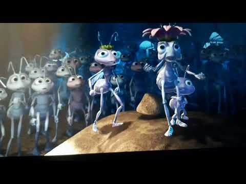 Das große Krabbeln - Wo ist mein Futter?