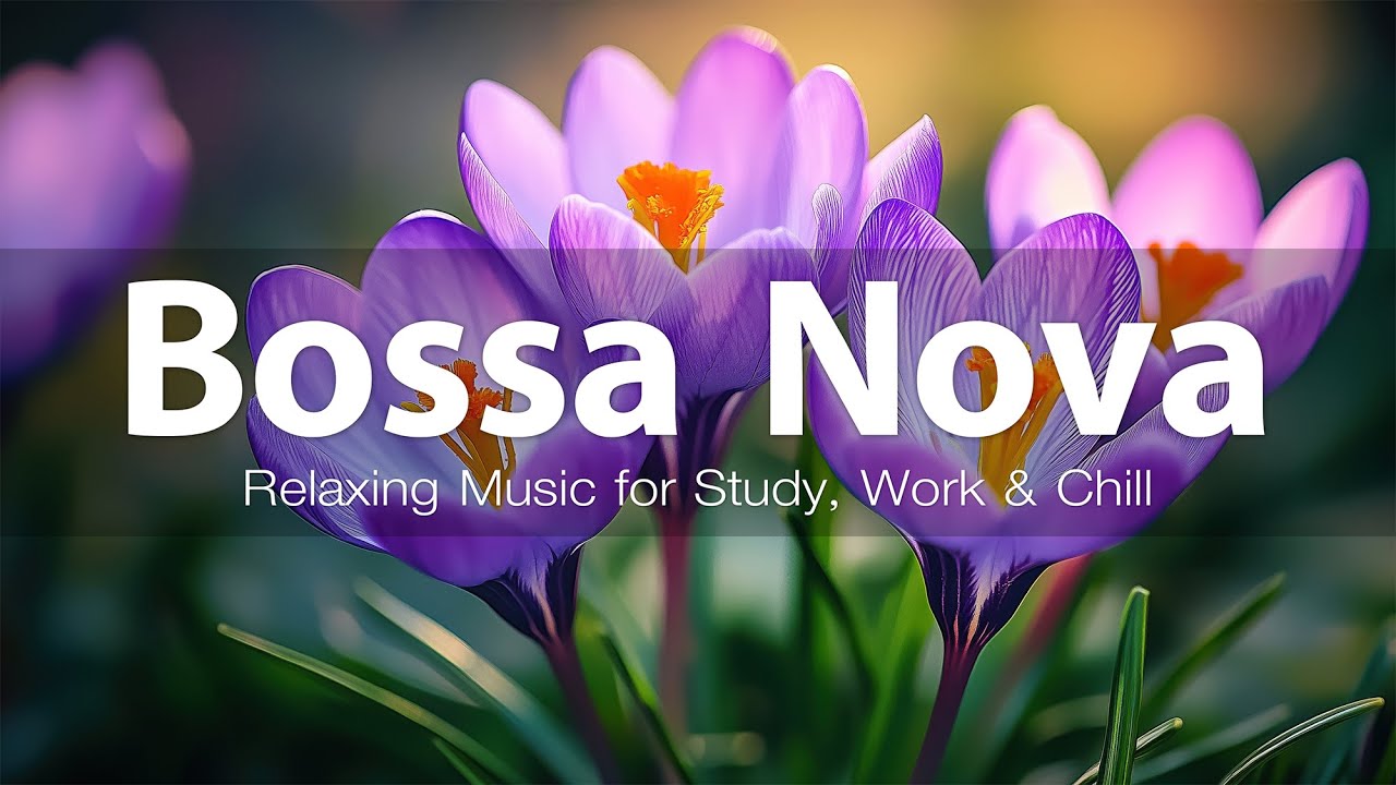 Relaxing Bossa Nova Music Chill Out, Work, Study & Jazz Instrumental | Bossa Nova Music Playlist #16