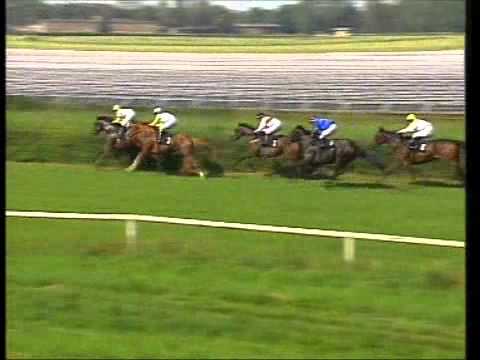 Galopprennbahn Dresden - 04.09.2011 - 2.Rennen