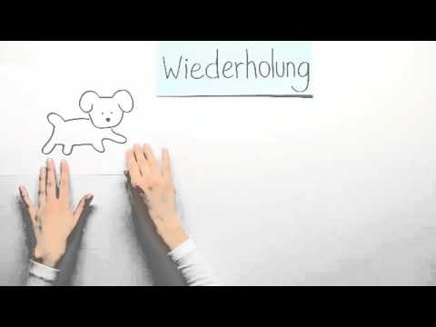 Have got und have - Übungsvideo | Englisch | Grammatik