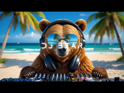 Melodic Techno Journey with Brown Bear DJ | Hypnotic Beats for Focus