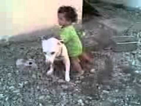 khosti little kid play with dog.