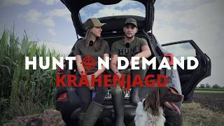Krähenjagd 🐦‍⬛ Planung ist alles mit @Elisa