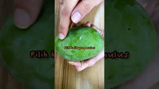 Download lagu TIPS MEMILIH MANGGA YANG MANIS! mp3 Download lagu TIPS MEMILIH MANGGA YANG MANIS! mp3